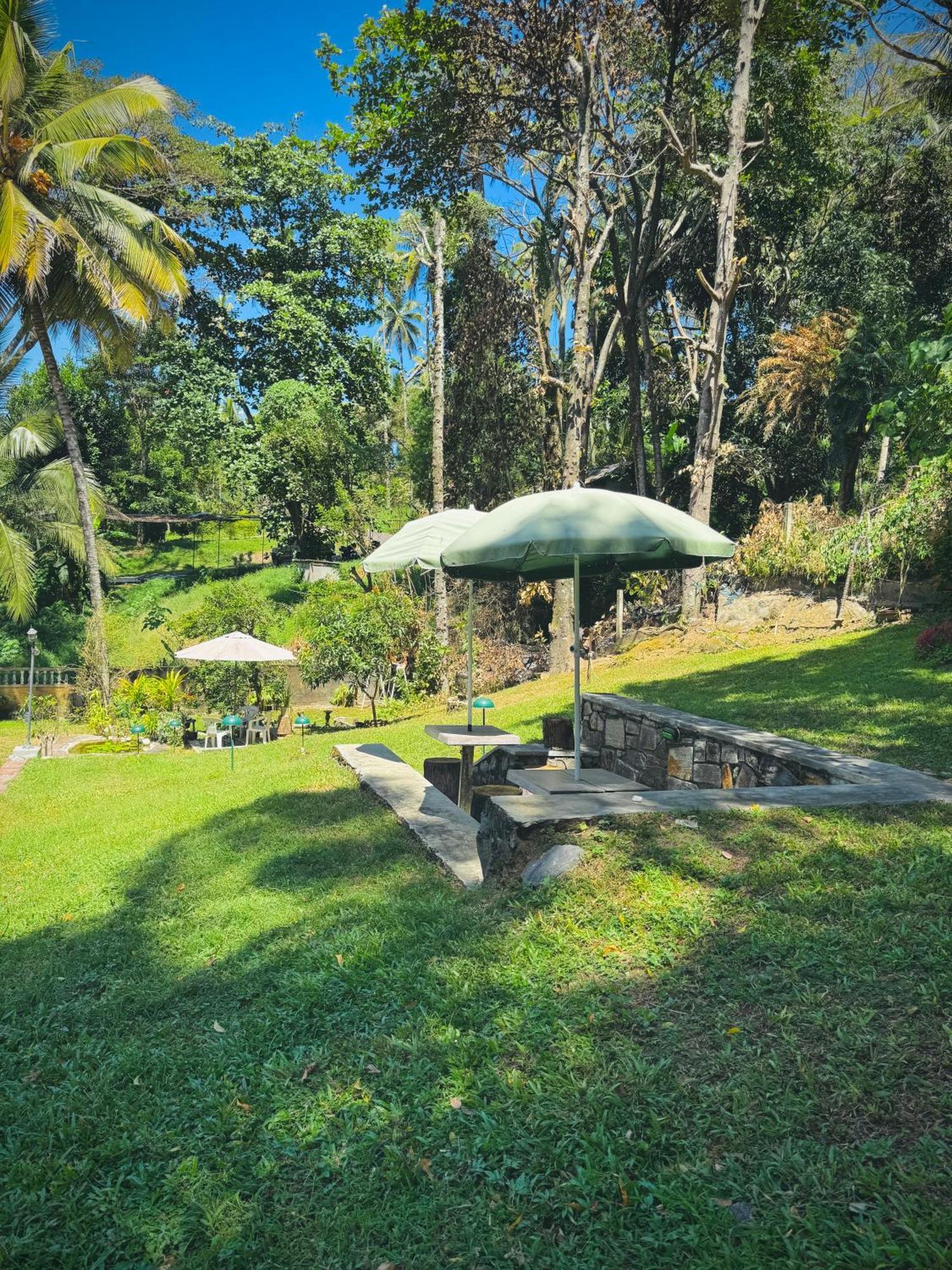 Mahaweli View Bungalow Kandy Ngoại thất bức ảnh